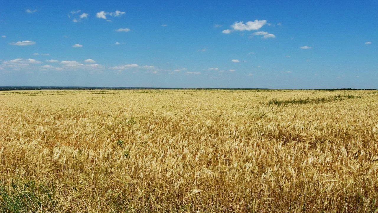 Верховний Суд підтвердив правила чинності давніх договорів оренди землі