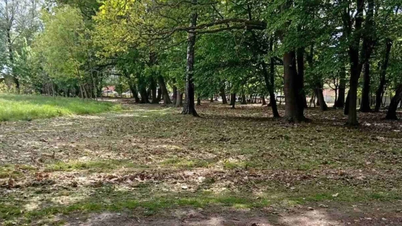 Мешканці Рудна можуть запропонувати назву для новоствореного центрального парку