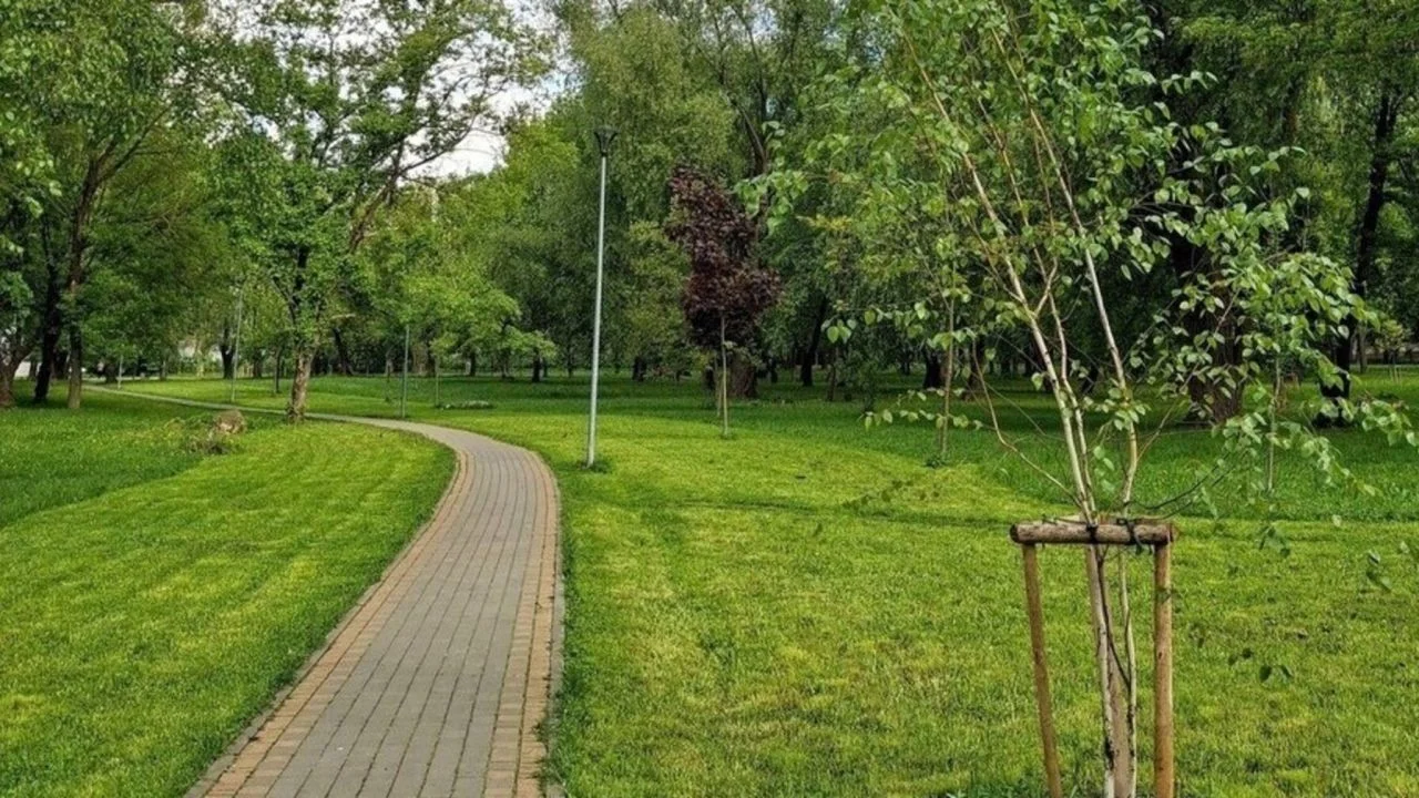 Львів знову шукає підприємців для сезонного бізнесу у міських парках